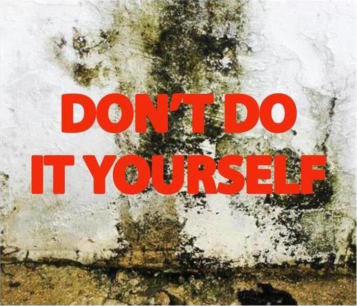 "Don't It Yourself" mold image