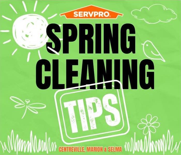 Solid green background with "Spring Cleaning Tips" in bold type surrounded by drawn grass, sun and bird.
